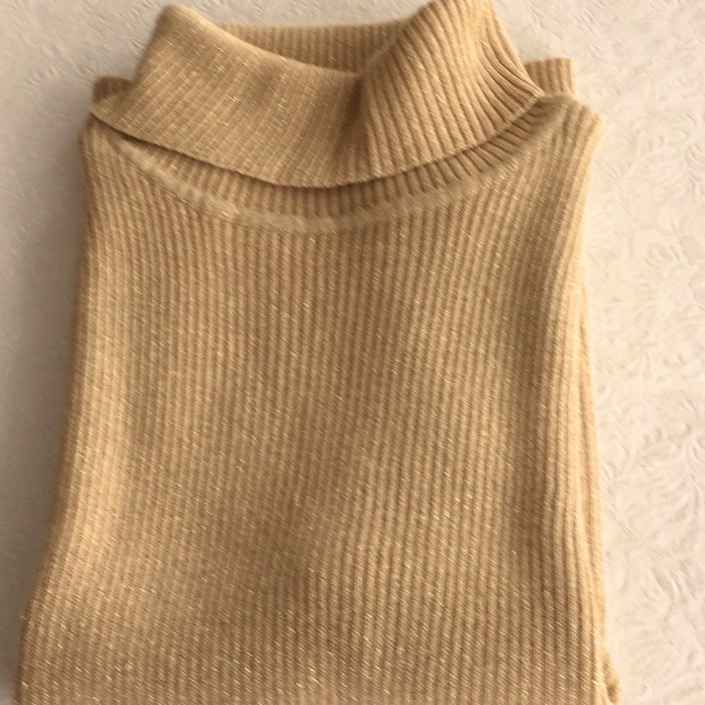 Women’s L shimmery sleeveless turtleneck shell.